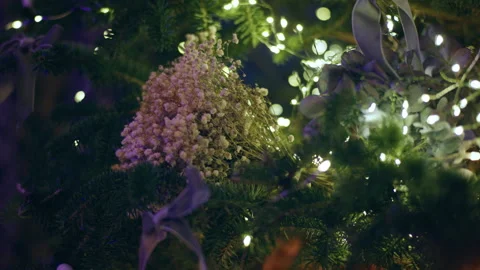 Closeup to the camera capturing video of Christmas tree over the tree standing Stock Footage 251176683
