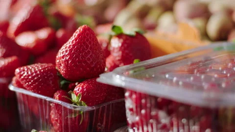 Closeup to the camera fresh eco strawberry in the farming shop Stock Footage 166517040