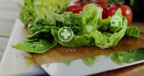 Closeup camera moving shifting focus onto lettuce tomatoes while icons fading Video stock 311138801