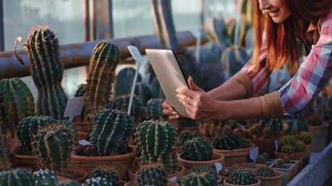 Closeup to the camera red lady using tablet take some pictures of the decorative Stock Footage 125492556