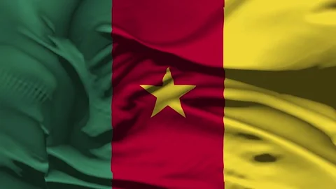 Closeup Cameroom Flag Wave Loop waving in wind Realistic Cameroom Flag backg Stock Footage 320151564