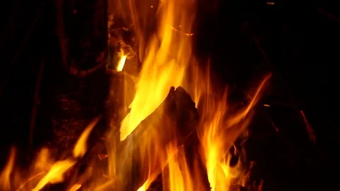 Closeup of Camp Bonfire Video stock 102774440