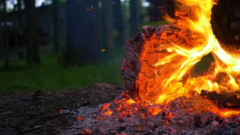 Closeup of Campfire and Logs Stock Footage 85183092