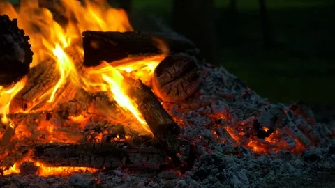 Closeup of Campfire at Dusk in Woods Stock Footage 85183251