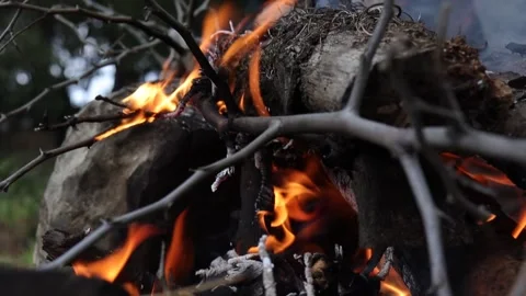 Closeup Campfire in the Forest Stock Footage 293516389