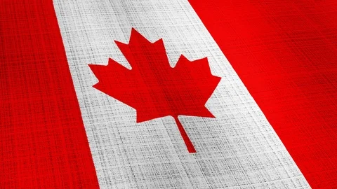 Closeup of Canada flag blowing in the wind texture background 스톡 동영상 124209256