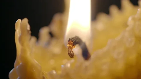 Closeup candle wick burning Stock Footage 203974308