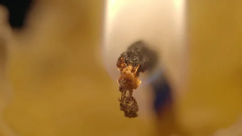 Closeup candle wick burning Stock Footage 203974403