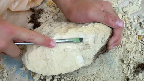 Closeup carefully scraping marlstone with a screwdriver Stock Footage 276423759