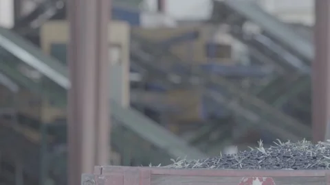 Closeup of cargo of olives from minivan Stockbeeldmateriaal 154662636