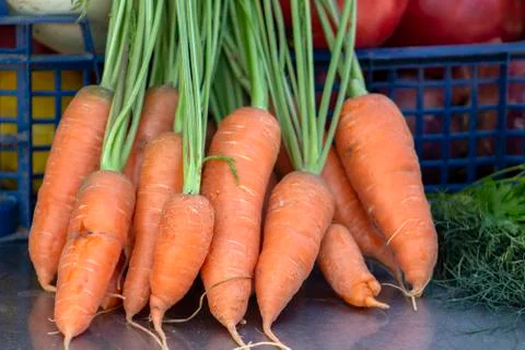 Closeup of carrots. Stock Photos