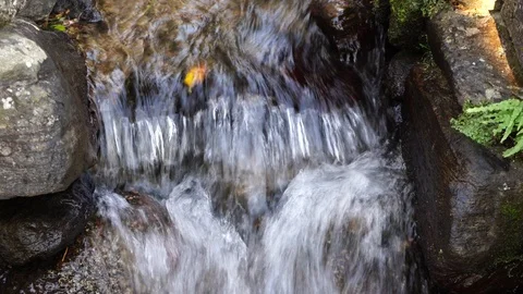 A closeup of a cascade of pristine water, 4K, handheld Stock Footage 97036566