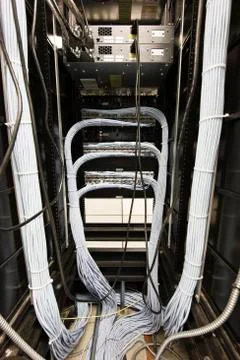 Closeup of  CAT 5 cable bundle system in a computer server room 스톡 사진