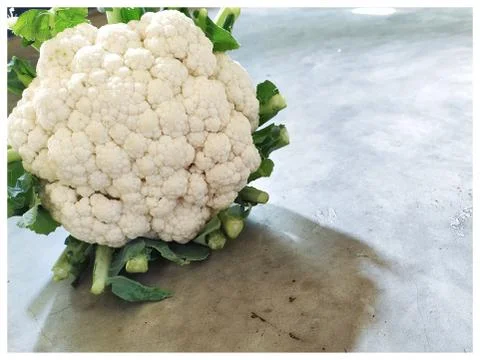 Closeup of cauliflower Stock Photos