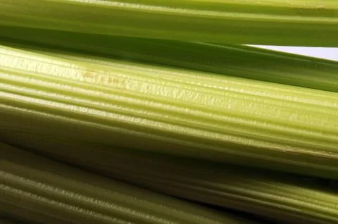 Closeup on celery for the soffritto Stock Photos