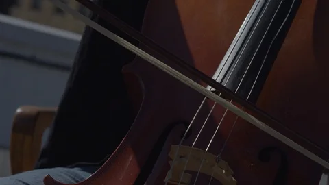 Closeup of cello and bow Stock Footage 111045094