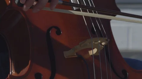 Closeup of cello being playing outside in sunshine Stock Footage 111047192