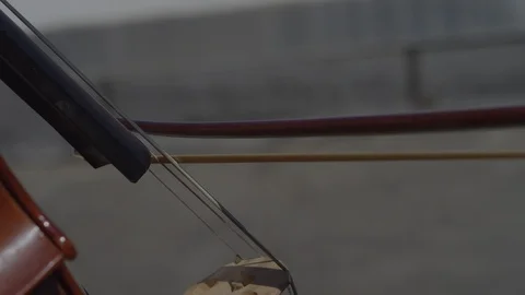 Closeup of cello bow playing strings Stock Footage 111046196