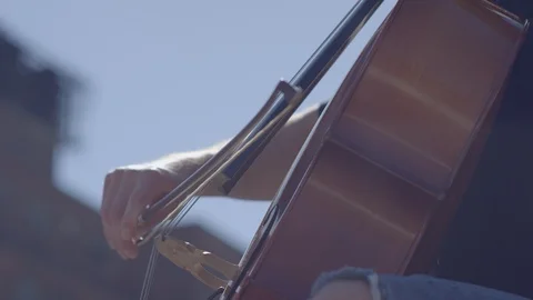 Closeup of Cello in sunshine Stock Footage 111043905