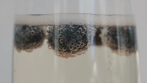Closeup of champagne bubbles attached to blueberries floating in a glass. Stock Footage 102222154