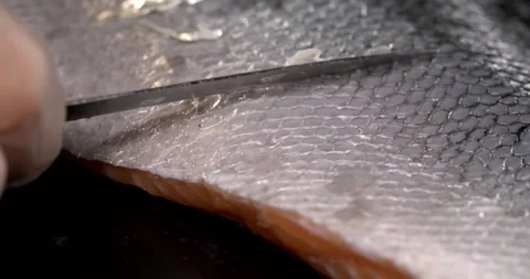 Closeup Of Chef Delicately Removing Salmon Skin Using Precise Hand Movements And Stock Footage 328962447