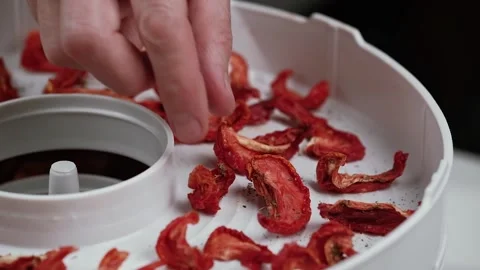 Closeup chef opening lid electric dryer for vegetables with sun dried tomatoes. Stock Footage 278319833