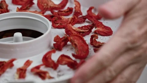 Closeup chef opens lid vegetable dryer checking readiness of sun dried tomatoes. Stock Footage 253955392