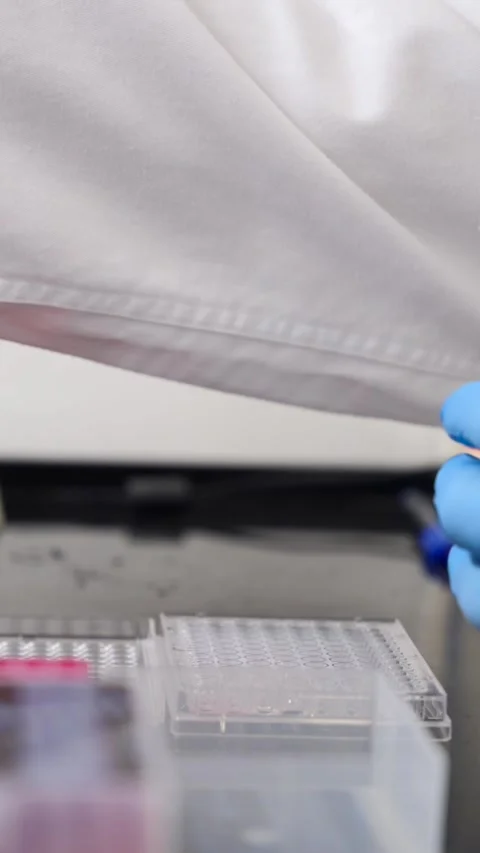 Closeup of chemist hands working with samples Stock-Footage 257028536