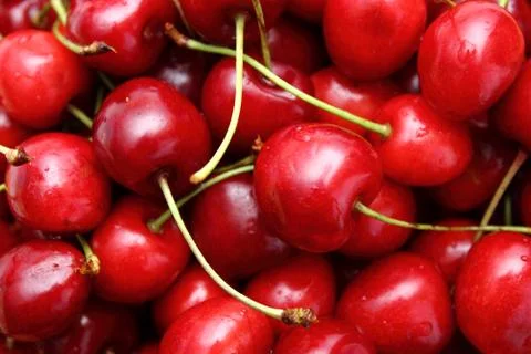 Closeup of cherry Stock Photos