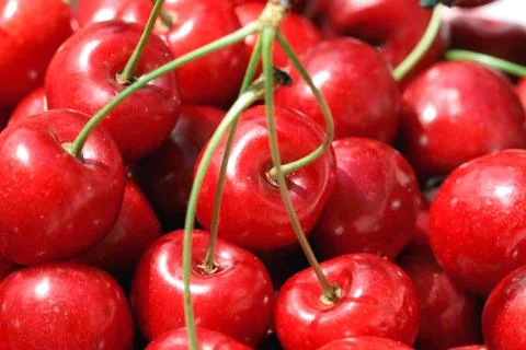 Closeup cherry Stock Photos