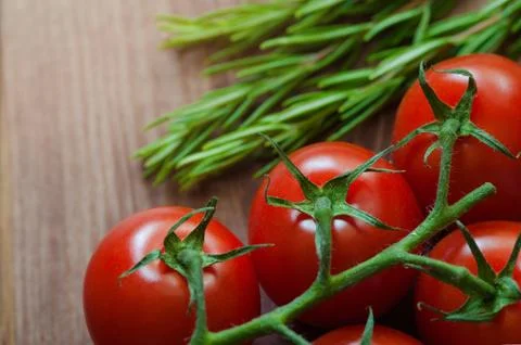 Closeup of cherry tomatoes on the vine Stock Photos