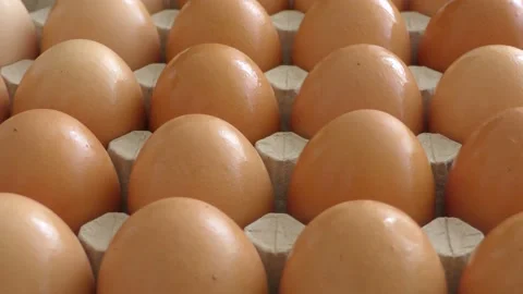 Closeup chicken eggs in a cardboard container Stock Footage 132801628