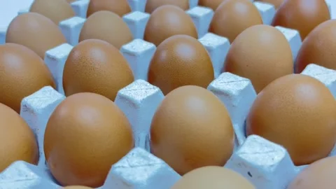 Closeup of chicken eggs in a rolling cartoon box isolated on white background. Stock Footage 159400787