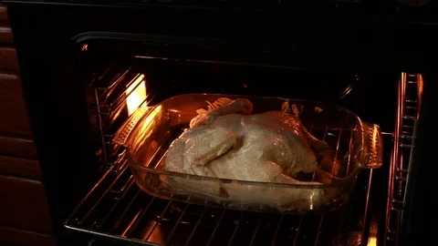 Closeup of chicken in the oven Stock Footage 72039478