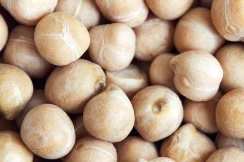 Closeup of chickpeas Stock Photos