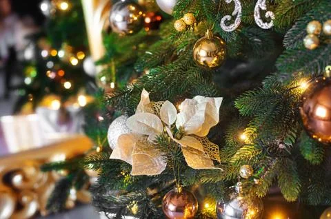 Closeup of Christmas-tree background Stock Photos