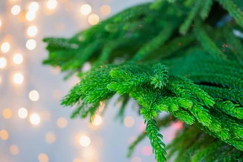 Closeup Christmas tree with bokeh light background Stock-Fotos