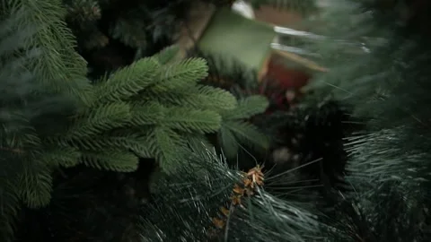 Closeup Of Christmas Tree Stock Footage 141770124