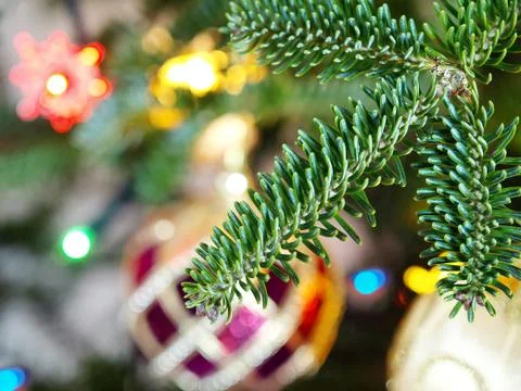 CloseUp of Christmas tree Stock Photos