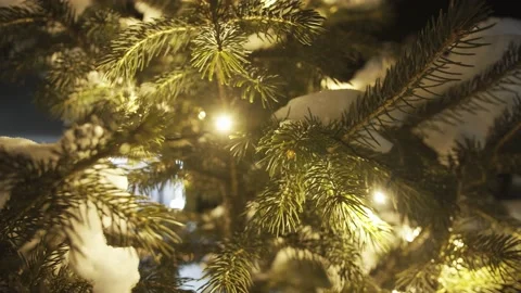 Closeup. Christmas tree. Snow covered spruce illuminated with yellow lights Stock Footage 144045733