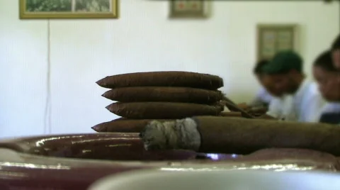 Closeup to Cigars Video stock 146260