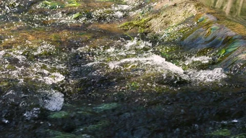 Closeup of a clean sunny stream with rapids slow motion Stock Footage 341830054