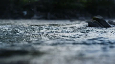 Closeup of clean water flowing in mountain river. Wild stream in mountains. Stock Footage 150907440