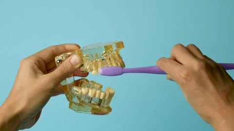 Closeup of cleaning artificial teeth using a brush Stock Footage 253463101