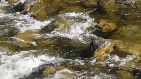 Closeup of a clear, fast-running stream rushing over boulders. Stock Footage 134584748