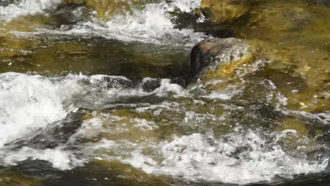 Closeup of a clear, fast-running stream rushing over boulders. Video stock 136997924