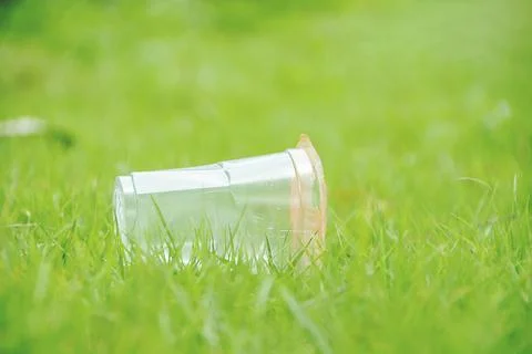 Closeup clear plastic cup garbage recycles on the green grass field in the .. Stock Photos