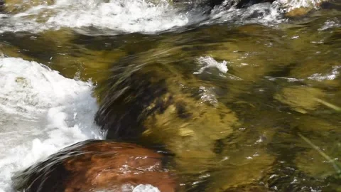 Closeup of a clear, stream rushing over the bouldery bed of the stream. Stock Footage 131796921