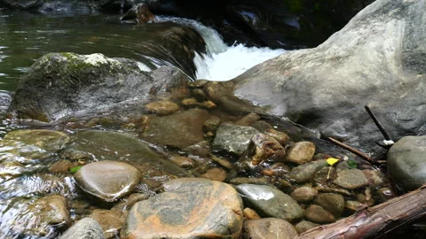 Closeup of clear water mountain stream 動画素材 313361680