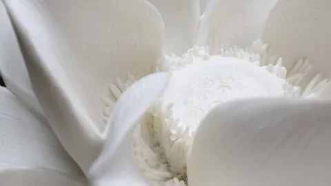 A closeup clip of a ceramic white flower, while it is rotating 360 degrees Stock Footage 263043683